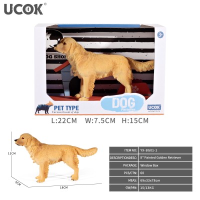 8寸彩绘金毛犬开窗盒